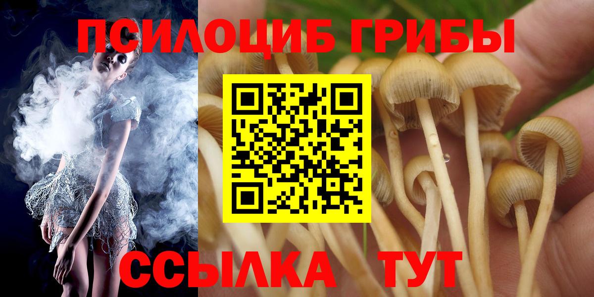 Псилоцибиновые грибы мухоморы  Вход с VPN  Кашира 